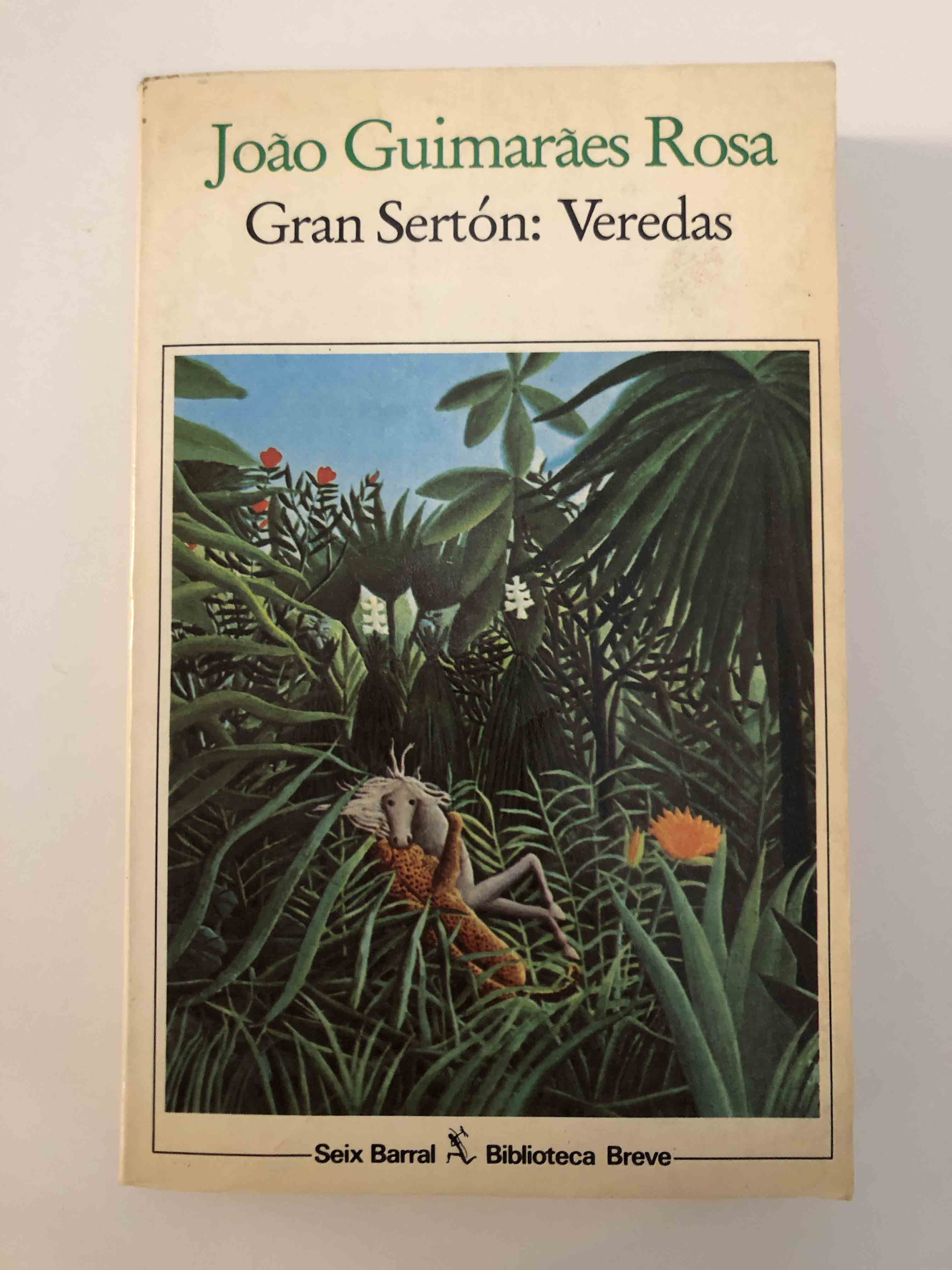 Gran Sertón: Veredas