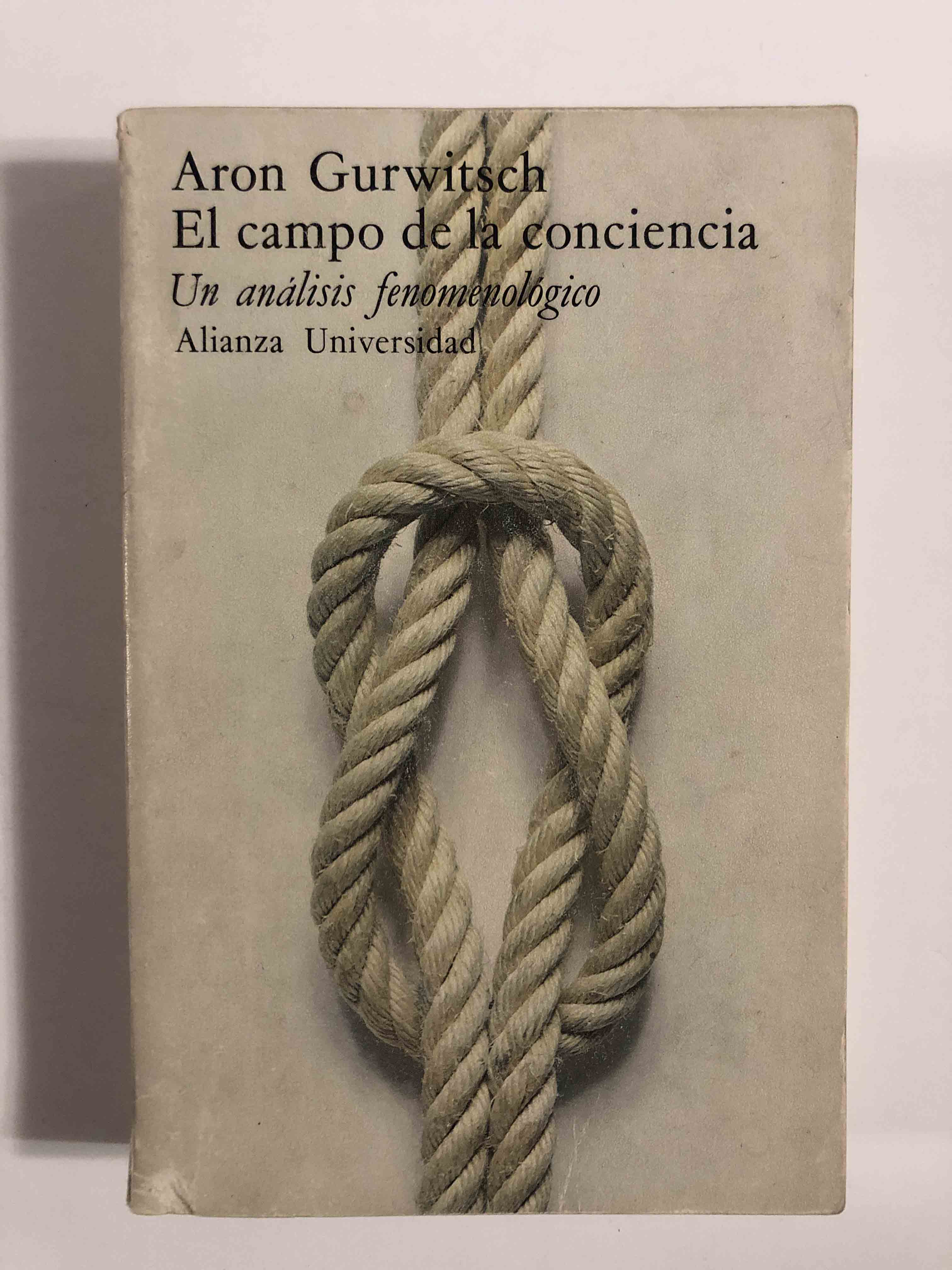 El campo de la conciencia. Un análisis fenomenológico